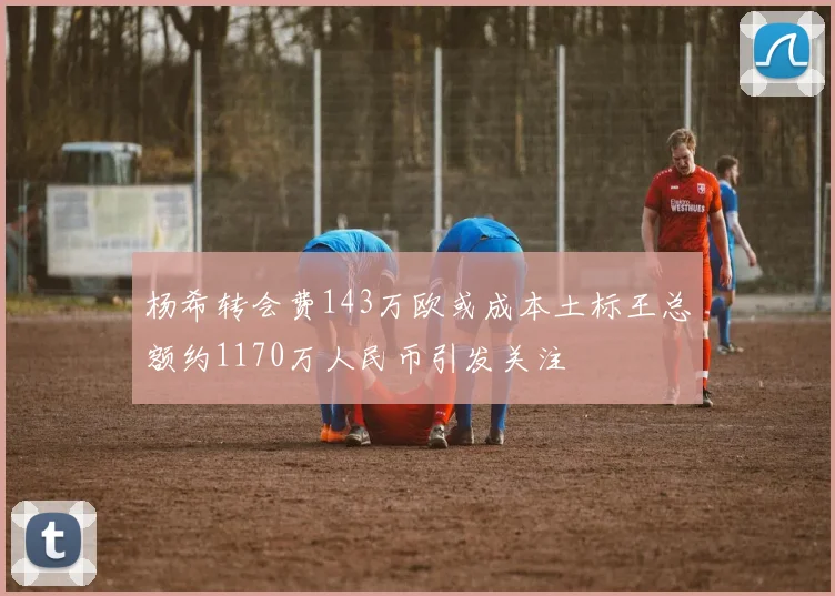 杨希转会费143万欧或成本土标王总额约1170万人民币引发关注